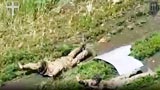 Guerra Russia-Ucraina: per la prima volta i soldati si sono arresi a robot e droni
