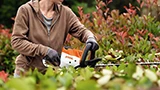 Autunno, tempo di potature: i tagliasiepi a batteria in sconto che vi salvano il giardino (e la schiena)