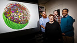 Ricercatori hanno simulato una cellula vivente in 3D grazie alla potenza delle GPU